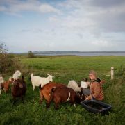 Avernakoe GederLandhotel KulinariskSydfyn