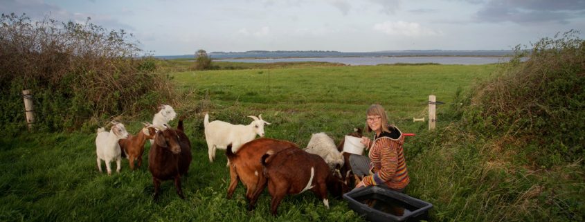 Avernakoe GederLandhotel KulinariskSydfyn